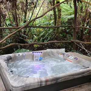 Hale Kumu La'au- A'a Lodge Volcano